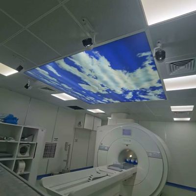 قیمت خوب حفاظت بالا قفس فارادی طراحی سبک برای تشخیص MRI آنلاین